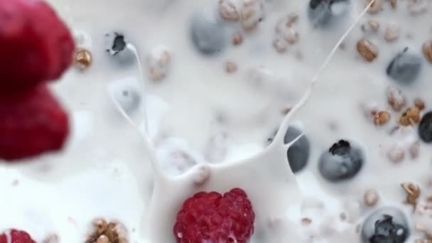 Raspberry lanzando yogur chapoteando vista superior. Líquido de avena con calcio y bayas flotantes en primer plano. Delicioso postre moviéndose dentro cremoso desayuno lactosa cámara lenta. Concepto de nutrición saludable - Metraje, vídeo