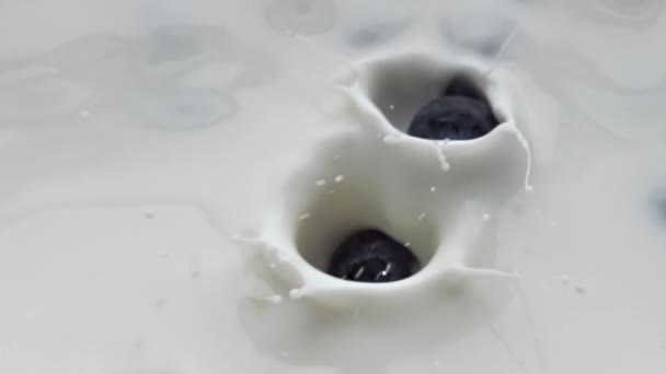 Blauwe bessen vallen spetterend lactose drank close-up. Bessen gooien drijvend in romige melk cocktail. Lekkere milkshake bereid uit calcium vloeibare slow motion. Gezond voedingsconcept - Video