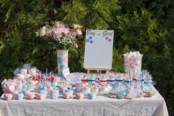 Delicious candy bar at gender party. A lot of pink and blue sweets. Special zone for celebration. Voting board with stickers. Background with trees. Tasty cakes, marshmallows, muffins, gingerbread and desserts. Decoration for baby's party. Catering. - Photo, Image