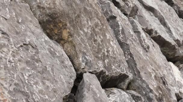 天然岩で作られた石の岩壁。表面が近くに - 映像、動画