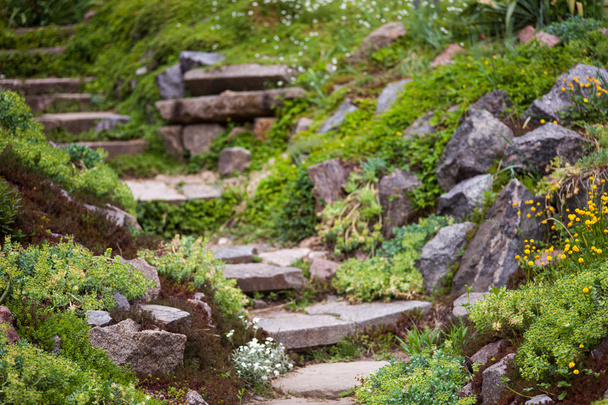 Stony stairs in the green garden - Foto, Imagen