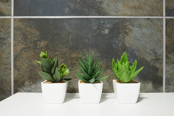 Bathroom design elements. Interior with black wall tiles. Three green artificial bonsai plants in white small pots on a cabinet shelf - Foto, Bild