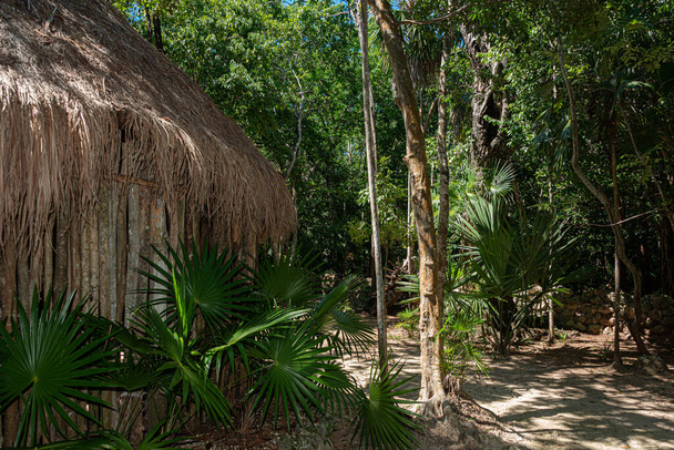 Antigua palapa maya en la selva mexicana - Foto, Imagen
