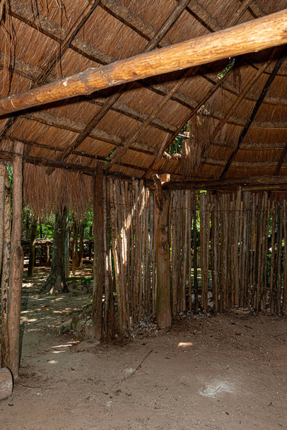 Antica palapa maya nella giungla messicana - Foto, immagini