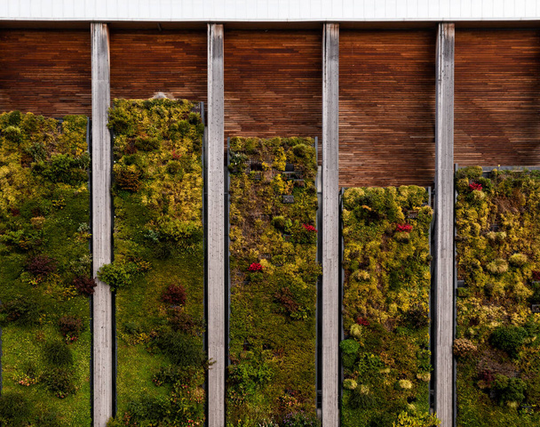 L'extérieur d'un grand bâtiment industriel avec des plantes et une faune poussant sur le côté sur un mur vivant ou un jardin vertical pour un concept net zéro et neutre en carbone - Photo, image