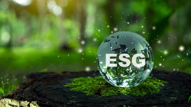 ESG-Brief zur Kristallkugel für Umwelt, Soziales und Governance in nachhaltigem und ethischem Geschäft über die Netzwerkverbindung auf grünem Hintergrund. - Foto, Bild