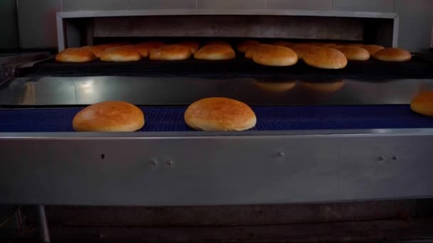 Panadería panadería fábrica de alimentos. Panes en el transportador. Imágenes de alta calidad 4k - Imágenes, Vídeo