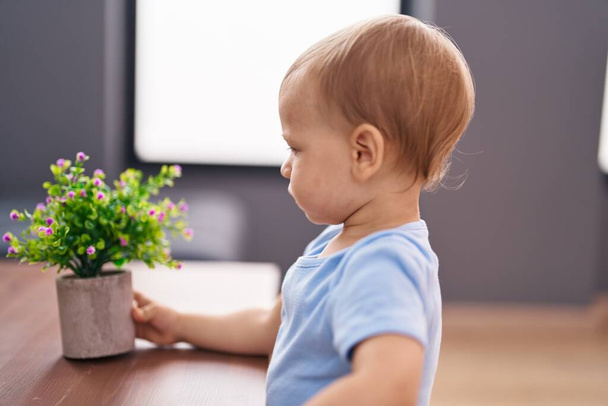 Suloinen lapsi holding kasvi rento ilme kotona - Valokuva, kuva