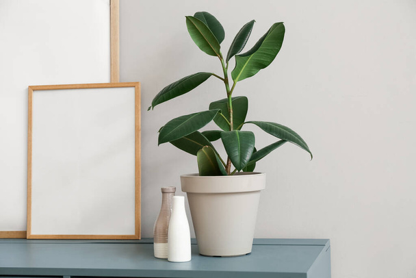 Houseplant com vasos e quadros em branco na mesa perto da parede cinza - Foto, Imagem