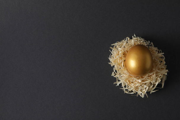 Concept of Richness, golden eggs, space for text - Foto, imagen