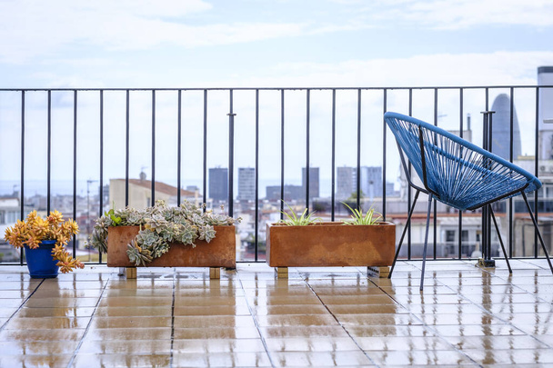 Terrasse avec le sol mouillé par la pluie et des pots avec des plantes succulentes. - Photo, image