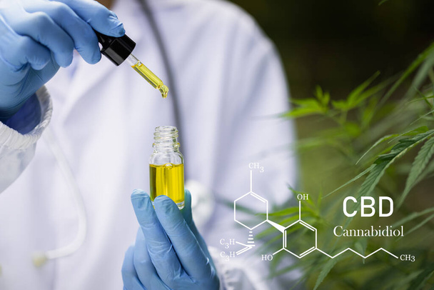 Gotas de óleo de cânhamo, óleo de cannabis CBD em pipeta, conceito de maconha medicinal - Foto, Imagem