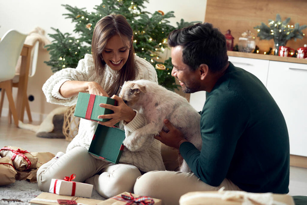 Szczęśliwa wieloetniczność para otwiera prezent świąteczny dla psa - Zdjęcie, obraz