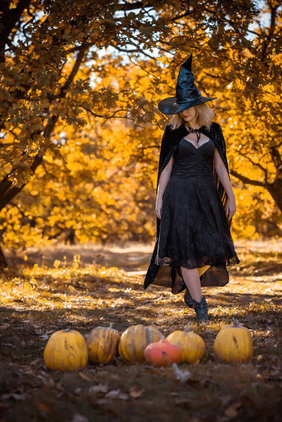 Scène mystique avec sorcière en chapeau noir et robe, cape, style Halloween, costume traditionnel de carnaval à la mode pour dames - Photo, image
