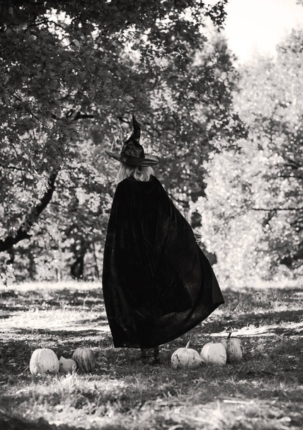 Mystieke scène met heks in zwarte hoed en jurk, cape, stijl voor Halloween, dames modieuze carnaval traditionele kostuum - Foto, afbeelding