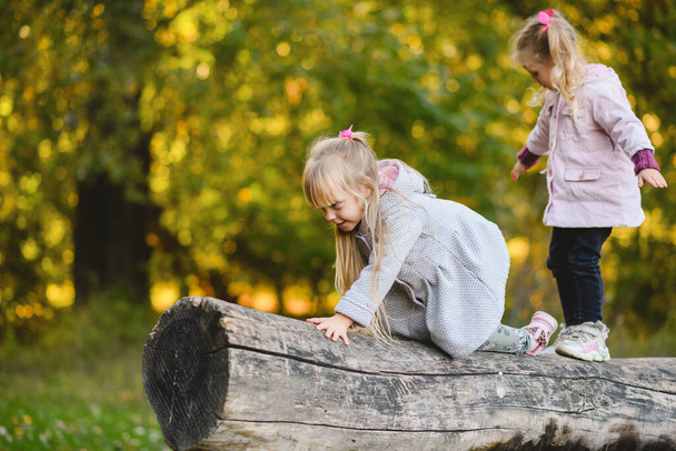 Δύο χαριτωμένα παιδιά σκαρφαλώνουν, ισορροπούν σε ένα πεσμένο κούτσουρο σε ένα φθινοπωρινό πάρκο. - Φωτογραφία, εικόνα
