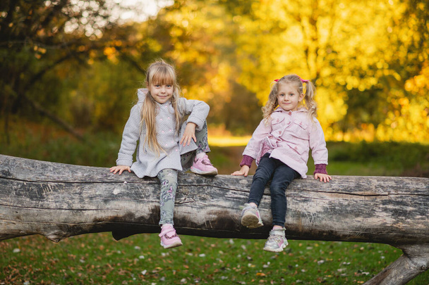 Δύο χαριτωμένα κοριτσάκια κάθονται σε ένα πεσμένο κούτσουρο στο δάσος του φθινοπώρου. - Φωτογραφία, εικόνα