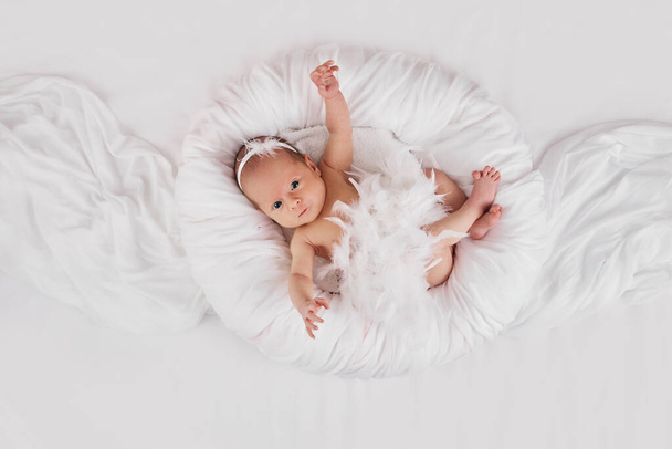 sweet newborn baby in dress with feathers in white nest. - Fotó, kép