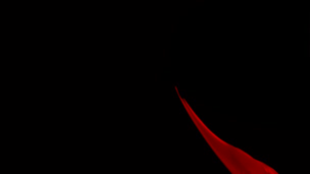 Красная ткань, текущая в воздухе
 - Кадры, видео