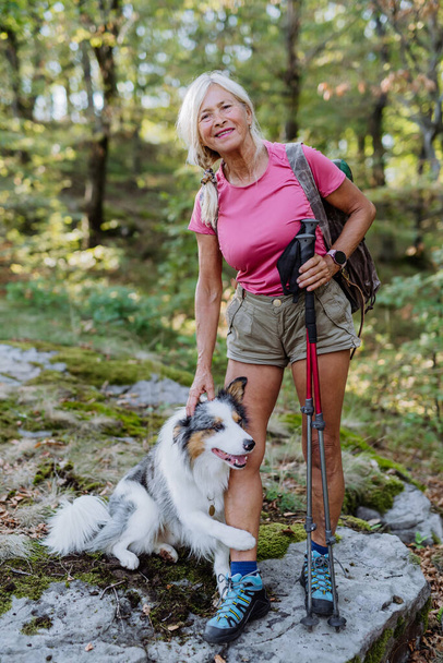 Senior woman walking with her three dog in a forest. - Zdjęcie, obraz