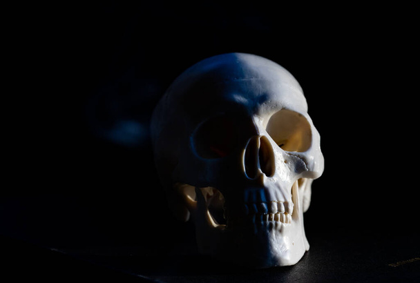 恐ろしい人間の頭蓋骨の恐怖ハロウィン - 写真・画像