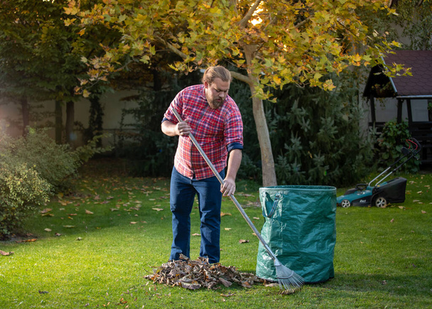 Uomo in camicia scozzese con rastrello per raccogliere fogliame in borsa. Prendendo auto eon prato in autunno - Foto, immagini