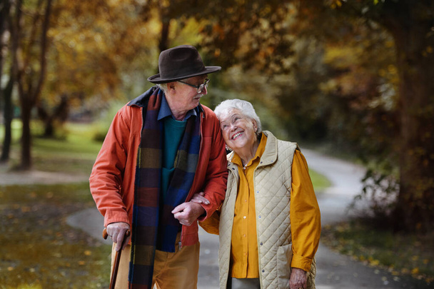 Happy senior couple in autumn clothes walking in park together. - Photo, image