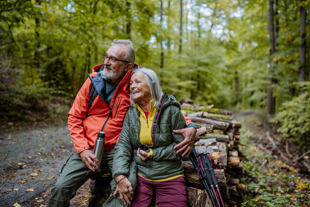 Senior couple having a break during hiking in autumn forest. - Foto, afbeelding