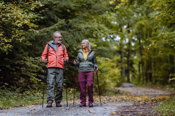 Happy senior couple hiking in autumn nature. - Foto, immagini
