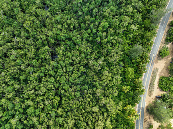 Vista de ángulo alto de la carretera con árboles - Foto, Imagen