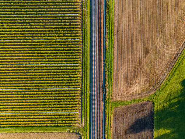 Las vías del tren entre el campo de la fresa y el campo directamente de arriba de la vista de pájaro, Alemania - Foto, imagen
