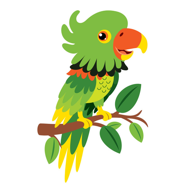 Cartoon Drawing Of A Parrot - Vector, Image