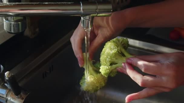Woman is washing fresh broccoli for meal, tasty organic vegetable, cooking healthy dinner at home, domestic cuisine, close up, slow motion. - Footage, Video
