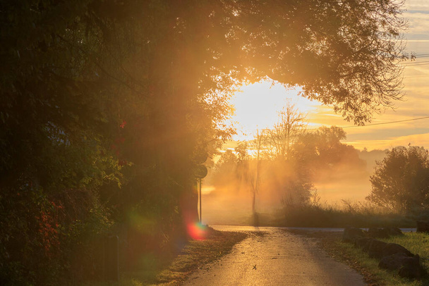 サイエンブルン近郊のアウクスブルク市の森の未舗装道路で霧に覆われた牧草地でカラフルな日の出 - 写真・画像