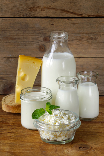 Assortment of dairy products (milk, cheese, sour cream, yogurt) - Photo, Image