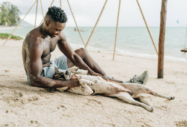 Smiling attractive young black man playing with a dog on the beach. High quality photo - Fotó, kép