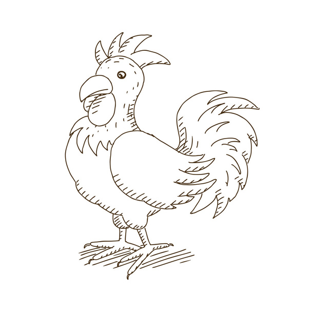 Vector Hand Drawn Rooster - Vector, imagen