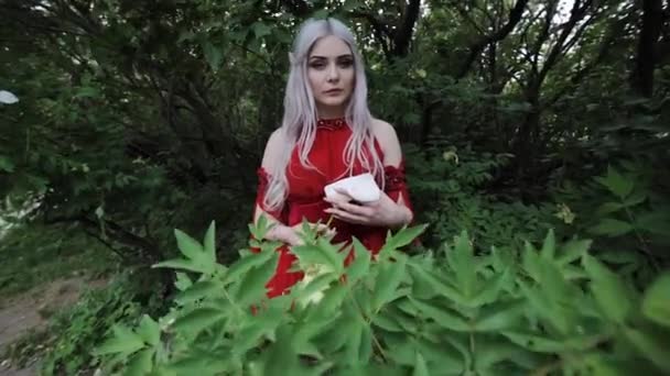 Elfo feminino misterioso e enigmático em um vestido vermelho. Suas mãos estão segurando uma flor branca calla. - Filmagem, Vídeo
