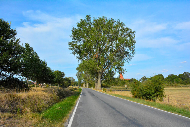Route de campagne vide avec arbres et ciel. Sur l'île de Poel, vers Kirchdorf, Allemagne - Photo, image