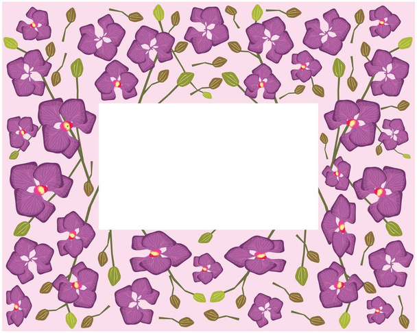Blume und Pflanze, Illustrationsrahmen der schönen lila Phalaenopsis oder Doritaenopsis Orchidee Blume Streifen - Vektor, Bild