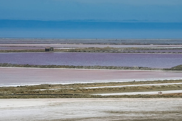 ナミビア、ウォルビスベイ付近の塩沼のパノラマ、ピンクの湖 - 写真・画像