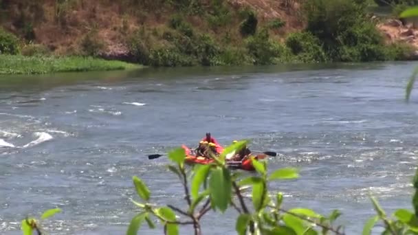 Rafting in rough waters the White Nile, Uganda - Footage, Video