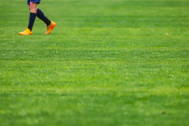 Green grass of a soccer field with selective focus in the center of the image, above the image some feet with cleats. - Photo, Image