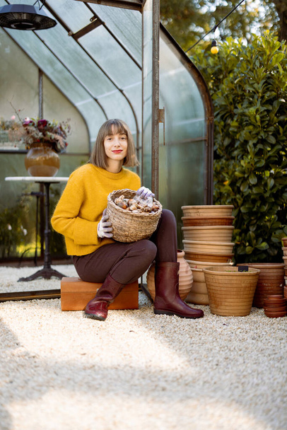 Young woman sits with basket full of tulip bulbs for planting in front of tiny glass orangery in garden - Φωτογραφία, εικόνα