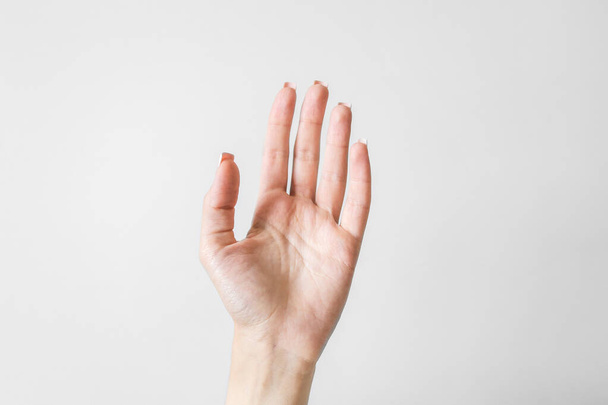 mano de mujer sobre fondo blanco
 - Foto, imagen
