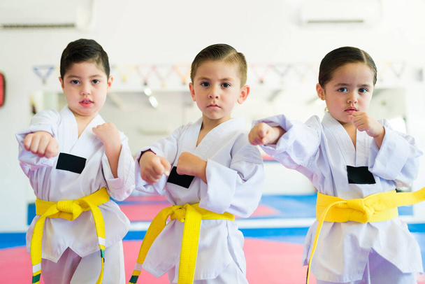 Portrét krásných mladých dětí bojujících a hrajících karate pózuje během taekwondo třídy - Fotografie, Obrázek