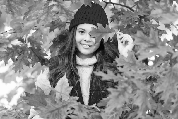 ευτυχισμένη έφηβος κορίτσι στο καπέλο με το φθινόπωρο πολύχρωμα φύλλα βελανιδιάς, πτώση. - Φωτογραφία, εικόνα