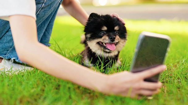 Happy young asian woman sitting on grass and photo selfie in the park with her dog. Pet lover concept - Foto, Imagen