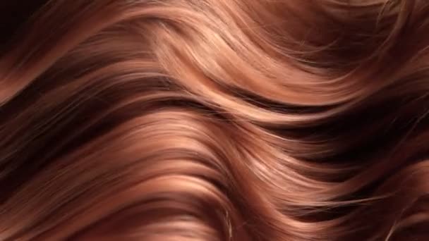 Super Slow Motion Shot of Wavy Brown Hair z prędkością 1000 fps. Nagrywane szybką kamerą kinową w rozdzielczości 4K. - Materiał filmowy, wideo
