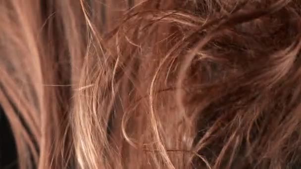 Super Slow Motion Shot of Waving Disheveled Brown Hair bij 1000 fps. Gefilmd met High Speed Cinema Camera op 4K. - Video